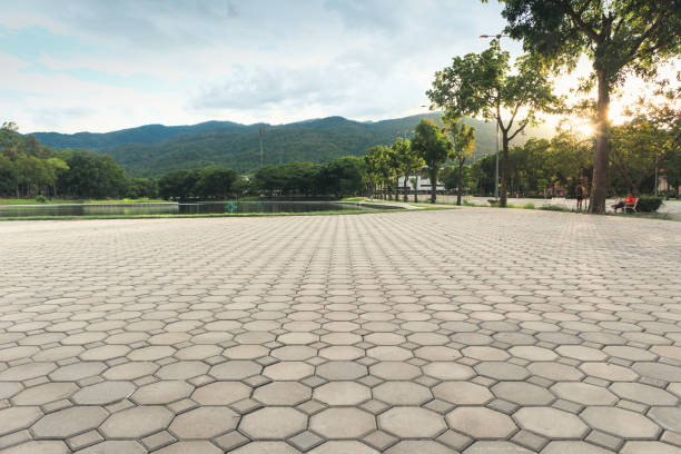 Best Residential Paver Driveway  in South Padre Island, TX